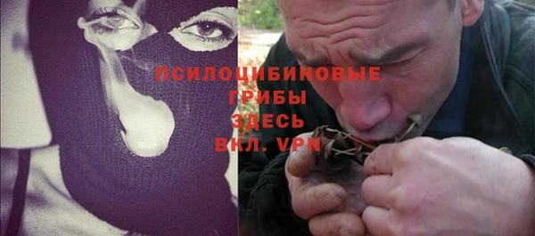 стаф Алексеевка